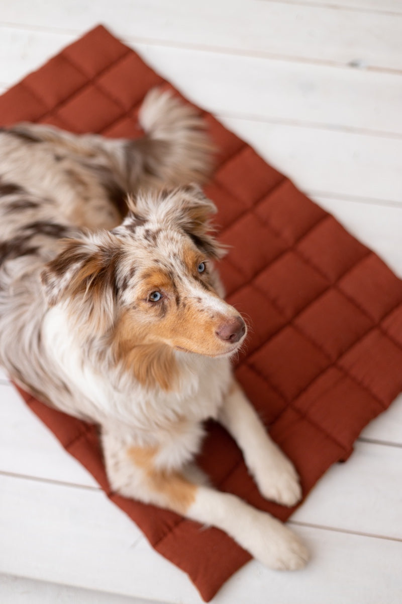 portable dog bed